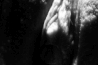 bodydetails_21.jpg