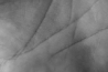 bodydetails_23.jpg